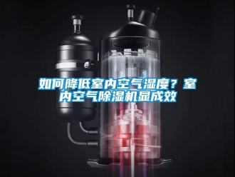常见问题如何降低室内空气湿度？室内空气除湿机显成效