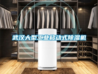 常见问题武汉大型工业移动式除湿机