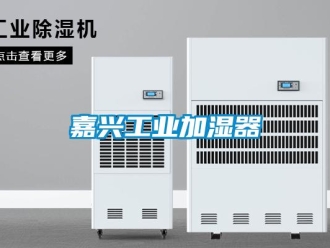 企业新闻嘉兴工业加湿器