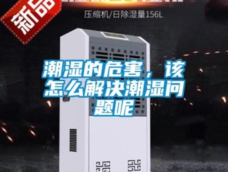 常见问题潮湿的危害，该怎么解决潮湿问题呢