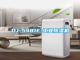 常见问题DJ-5481E-工业除湿机