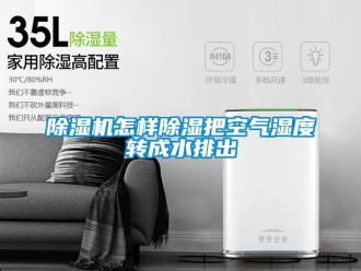 行业新闻除湿机怎样除湿把空气湿度转成水排出