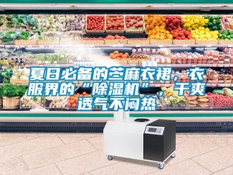 行业新闻夏日必备的苎麻衣裙，衣服界的“除湿机”，干爽透气不闷热