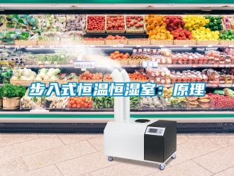 知识百科步入式恒温恒湿室：原理