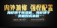 海虾烘干除湿机，海虾烘干卖相好成本低