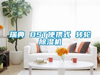 常见问题瑞典 DST便携式 转轮除湿机