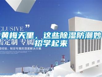 常见问题黄梅天里，这些除湿防潮妙招学起来