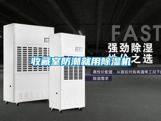 知识百科收藏室防潮就用除湿机