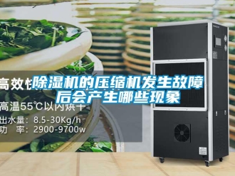 常见问题除湿机的压缩机发生故障后会产生哪些现象