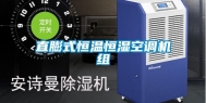 直膨式恒温恒湿空调机组