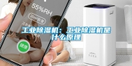 工业除湿机：工业除湿机是什么原理