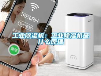 常见问题工业除湿机：工业除湿机是什么原理
