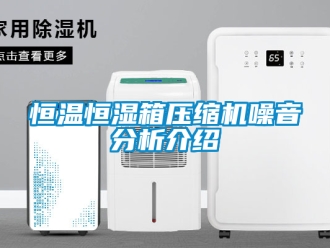 知识百科恒温恒湿箱压缩机噪音分析介绍