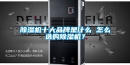 除湿机十大品牌是什么 怎么选购除湿机？