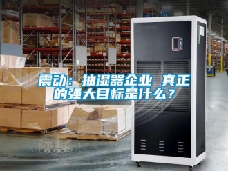 知识百科震动：抽湿器企业 真正的强大目标是什么？