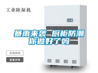 常见问题暴雨来袭 厨柜防潮你做好了吗