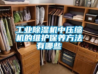 企业新闻工业除湿机中压缩机的维护保养方法有哪些
