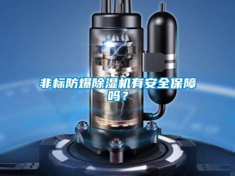 常见问题非标防爆除湿机有安全保障吗？