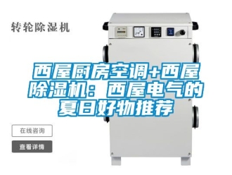 行业新闻西屋厨房空调+西屋除湿机：西屋电气的夏日好物推荐