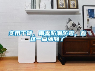 常见问题实用干货，雨季防潮防霉，看这一篇就够了