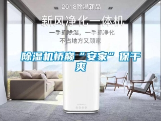 企业新闻除湿机桥巅“安家”保干爽