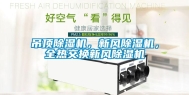 吊顶除湿机，新风除湿机，全热交换新风除湿机