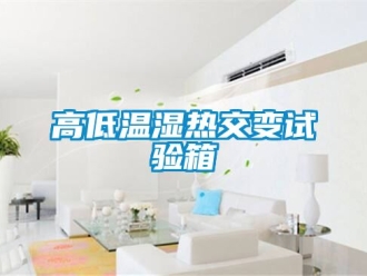 常见问题高低温湿热交变试验箱