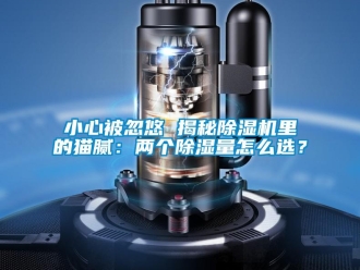 行业新闻小心被忽悠 揭秘除湿机里的猫腻：两个除湿量怎么选？