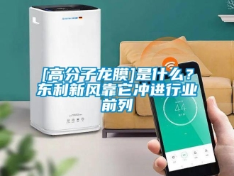 企业新闻[高分子龙膜]是什么？东利新风靠它冲进行业前列