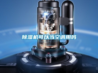 行业新闻除湿机可以当空调用吗