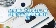 除湿机哪个牌子好？精致生活必备的智能黑科技