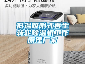 企业新闻低温吸附式再生转轮除湿机工作原理厂家