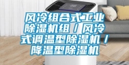 风冷组合式工业除湿机组／风冷式调温型除湿机／降温型除湿机
