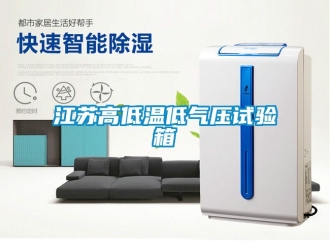 常见问题江苏高低温低气压试验箱