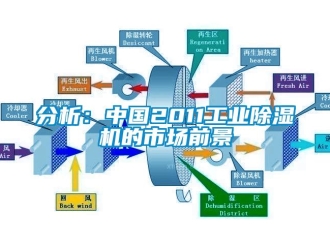 常见问题分析：中国2011工业除湿机的市场前景
