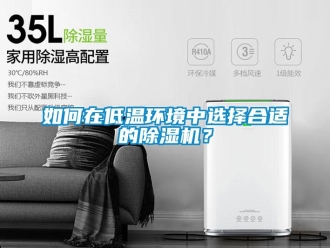 行业新闻如何在低温环境中选择合适的除湿机？