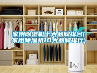企业新闻家用除湿机十大品牌排名(家用除湿机10大品牌排行)