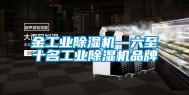 金工业除湿机—六至十名工业除湿机品牌