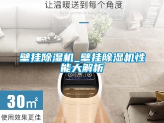 企业新闻壁挂除湿机_壁挂除湿机性能大解析