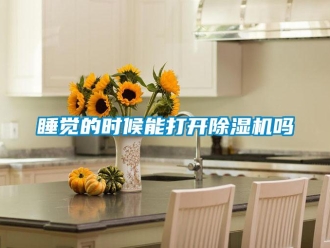 常见问题睡觉的时候能打开除湿机吗