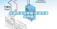 恒温恒湿培养箱,恒温恒温培养箱