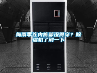 行业新闻梅雨季连内裤都没得穿？除湿机了解一下