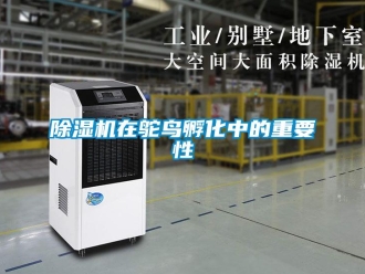 企业新闻除湿机在鸵鸟孵化中的重要性