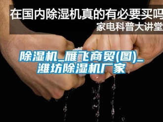 企业新闻除湿机_雁飞商贸(图)_潍坊除湿机厂家