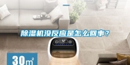 除湿机没反应是怎么回事？