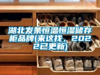 知识百科湖北发条恒温恒湿储存柜品牌(来这找，2022已更新)