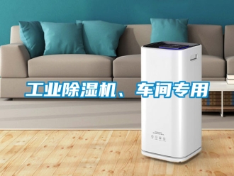常见问题工业除湿机、车间专用