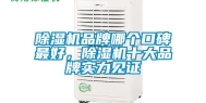 除湿机品牌哪个口碑最好，除湿机十大品牌实力见证