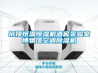 知识百科吊顶恒温恒湿机酒窖实验室博物馆空调除湿机