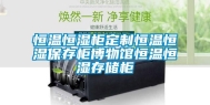 恒温恒湿柜定制恒温恒湿保存柜博物馆恒温恒湿存储柜